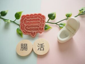 腸活のイラスト